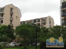 中间位置安静 非顶楼 采光佳 户型正气 边套大窗 通透