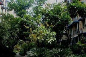 川大竹林村2室1厅南