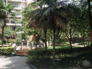 南馨园 3室2厅 北