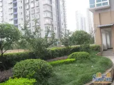 大一房环线彩云湖站 户型方正采光好 业主急售