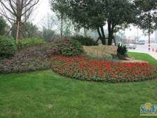 经开区 雅居乐国际花园三房210万