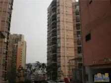 奥体电梯一房、看房子方便采光好