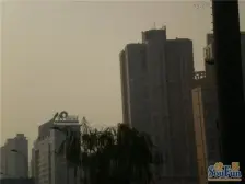 郡都彩舍 3室2厅 南