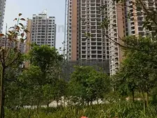 金港尚城 3室2厅 东南