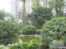 杨家坪 珠江彩世界一房48万