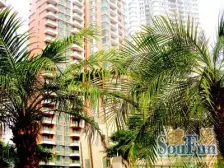 渝中名郡 2室2厅 南