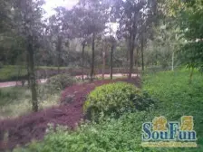 渝中名郡 2室2厅 南