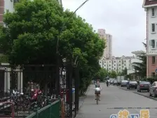 清水苑三期 模范新上 楼层佳 视野开阔 有钥匙