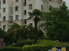 模范三房 位置好 低楼层 采光好 诚售可议价