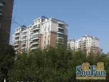 五星好房 南临地铁 背靠公园 三房格局房子 看房随时