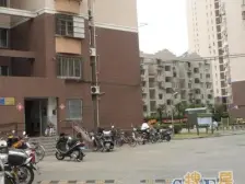 金桥·金巷小区-杨高中路10弄3支弄·2室·1厅