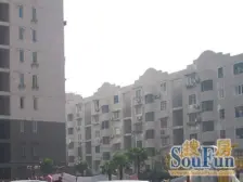 金桥·金巷小区-杨高中路10弄3支弄·1室·1厅