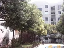电梯中区一房,户型方正,采光视野好,旁边有地铁公园