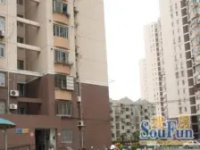 金巷小区(10弄3支弄高层) 1室1厅 西南 南