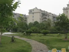 金桥·金舟苑·5室·2厅