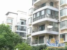 金桥·碧云新天地二期3室2厅A位置A楼层带地暖二梯队书包房