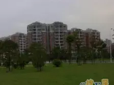 中间楼层 电梯房 新上房源