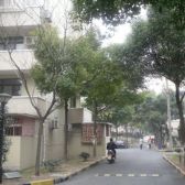 金桥·贝尔新村·2室·1厅
