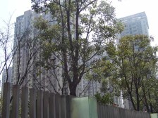 联洋·仁恒河滨城二期·3室·2厅