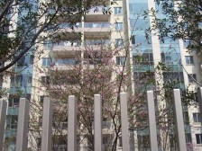 联洋9号线杨高中路150米,看房方便,业主诚心出售置换业主