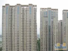 安静位置,290度河景,大平层10年出一套,诚意卖