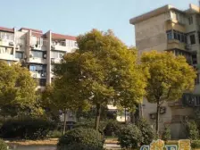全小区单价ZUI高一套