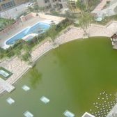财富海景花园3室1厅北西南