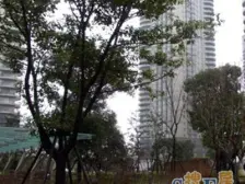 财富海景花园3室西南朝向9500.00万元/套出售