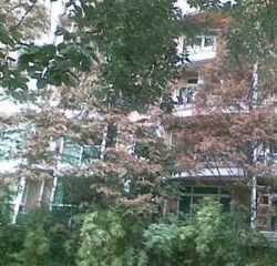 彩虹花园 1室1厅 东南