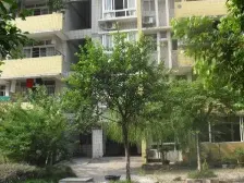 房子以满2年,房子是商品房,楼层好