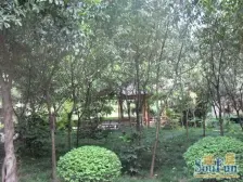 急售.证在手.随时过户.住家装修.采光好.