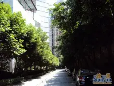 五里店 华新都市花园 跃层大户型 满五唯一 免个税