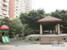 御景江山 朝南,采光好,户型方正