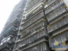 重庆一线江景+正看大剧院+一绝江景