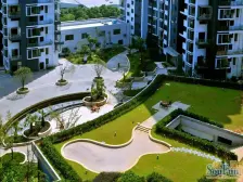 可根据自己的风格塑造出自己喜欢的房子、等你来哦!!