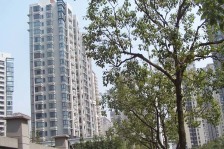 联洋·浦东虹桥公寓-第九城市二期·1室·2厅
