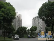 奥塞花园 1室2厅 南 北