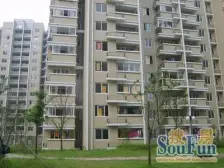 电梯房,南北通透,采光充足,房型正气,居家装修,近地铁