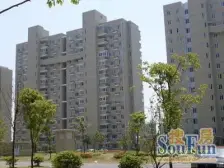 张江南满五为一,楼层好,采光视野无遮挡,临河好楼层