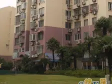 近地铁九号线 七宝站 万科物业 诚意出售 满五无个税