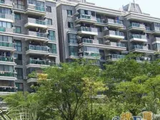 店长主推 28平大院子 给您不一样的庭院享受