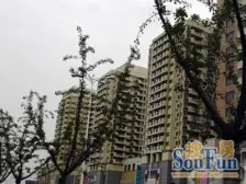 开元地中海 1室1厅 北