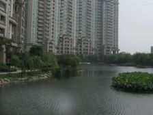 大开间,厨卫朝北,繁华地段,品质小区