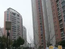 联洋年华臻稀复式小区央位无税有车位