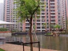 给客户让利,客户购房总成本Z低,一样的交易流程:《资金存管》