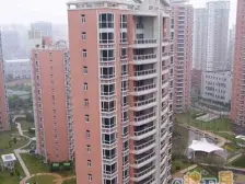 南北直通2房满五年进才地铁世纪公园