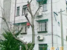 国和一村1室南朝向200.00万元/套出售