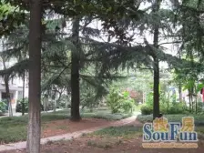 地铁口位置好,采光佳,户型正。看房方便