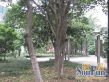 西环路地铁一号沿线 南北户型精装修 一楼带院子开门