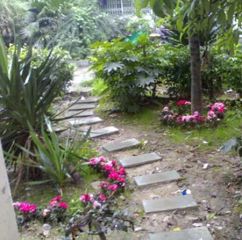 八里阳光 3室2厅 东南